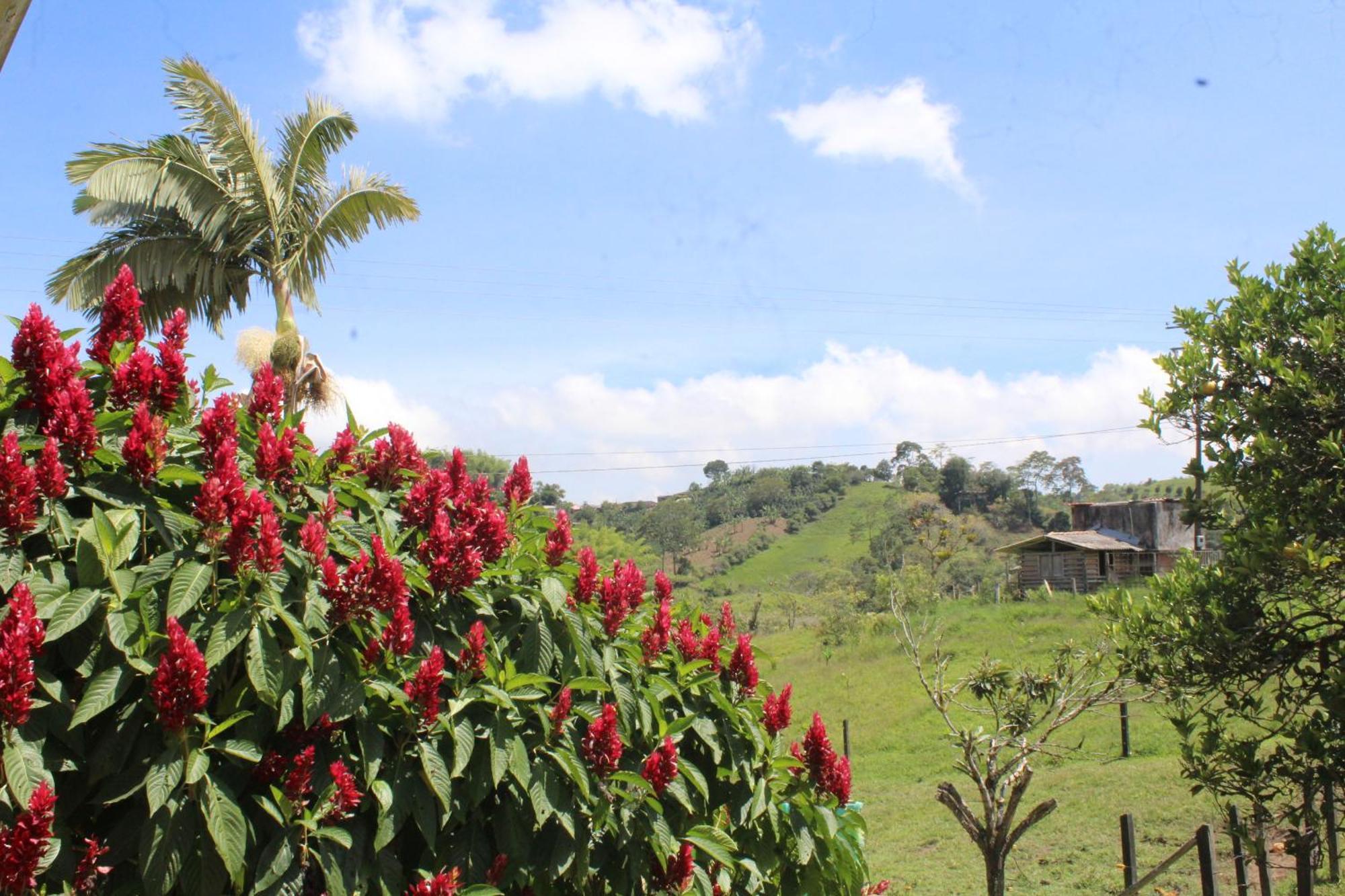 Rancho Ventura Villa ฟิลานเดีย ภายนอก รูปภาพ